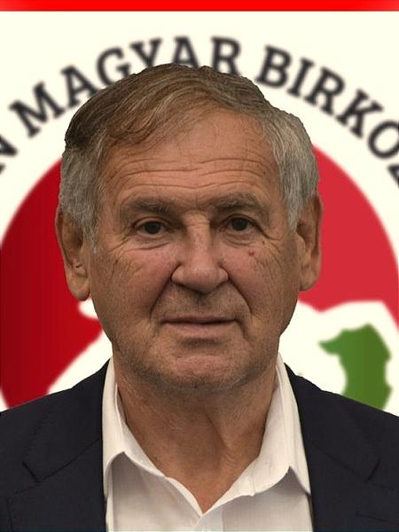 Bacsa Ferenc