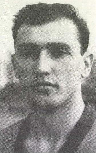 Vellai István