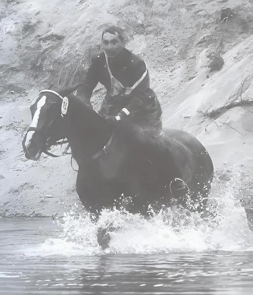 Suti István