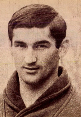 Halmosi Zoltán