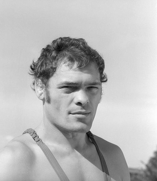 Csatári József