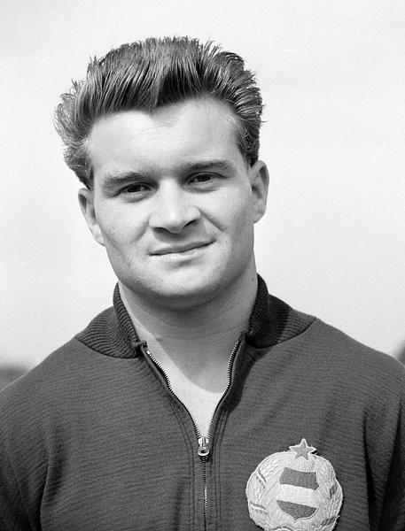 Földi Imre