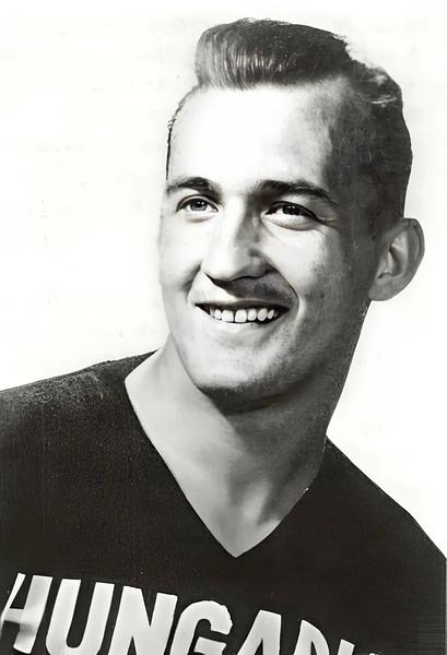 Ilku István