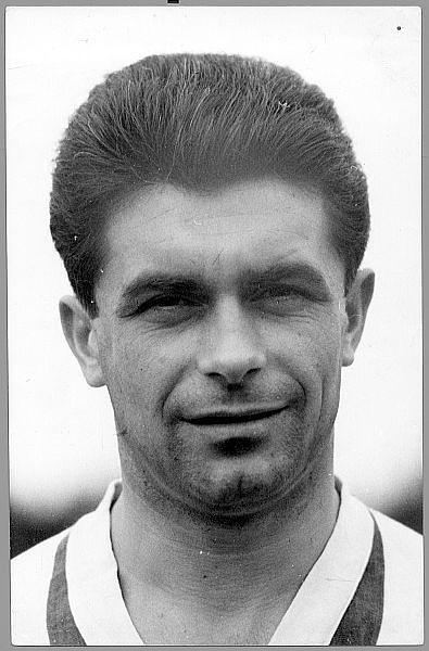 Fenyvesi Máté