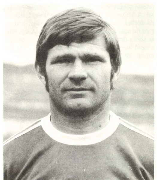 Wollek Tibor
