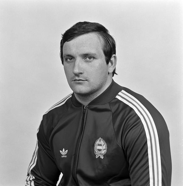 Sólyomvári János