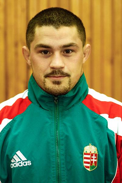 Bárdosi Sándor István