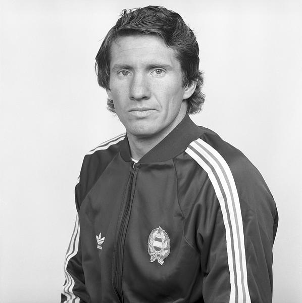 Horváth László