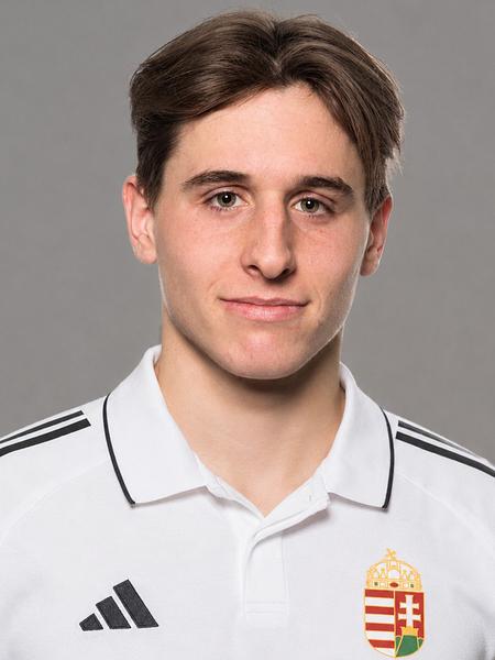 Gáll András
