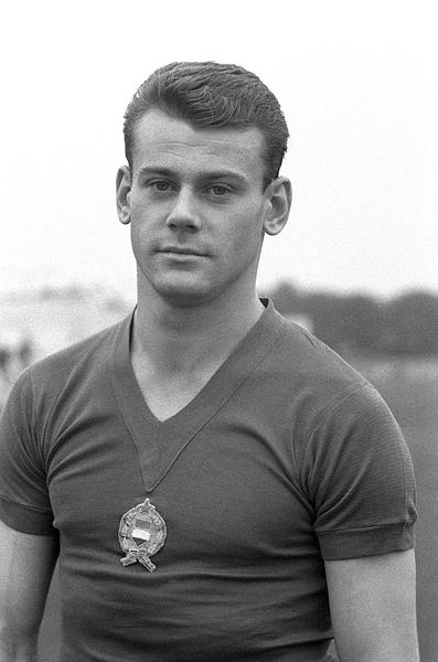 Szűcs Lajos