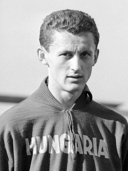 Albert Flórián